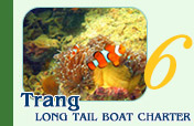 Long tail boat charter from Trang