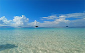 Longtail Boat Charter Coral Island
