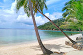 Longtail Boat Charter From Samui