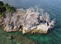 Longtail Boat Charter From Samui