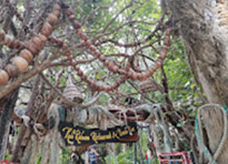 Longtail Boat Charter From Samui